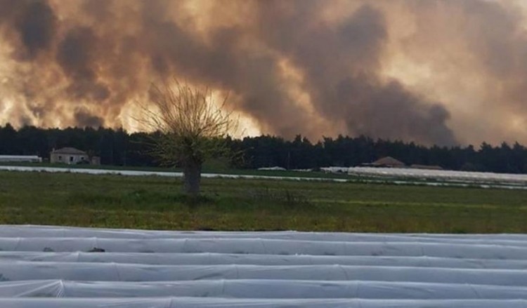 Φωτιά στο Άγιον Όρος: Συνεχίζεται η προσπάθεια για την κατάσβεση της φωτιάς 4