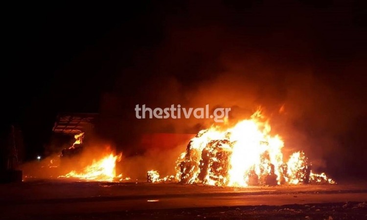 Θεσσαλονίκη: Πλήρης καταστροφή για το εργοστάσιο ανακύκλωσης στη Σίνδο