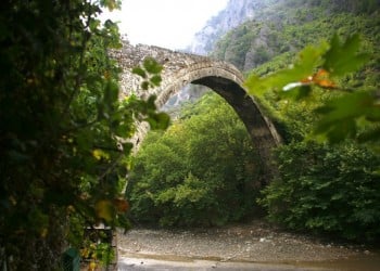 Θρασύτατοι Αλβανοί μπήκαν παράνομα στην Ελλάδα και μάζεψαν φαρμακευτικό κισσό