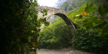 Θρασύτατοι Αλβανοί μπήκαν παράνομα στην Ελλάδα και μάζεψαν φαρμακευτικό κισσό