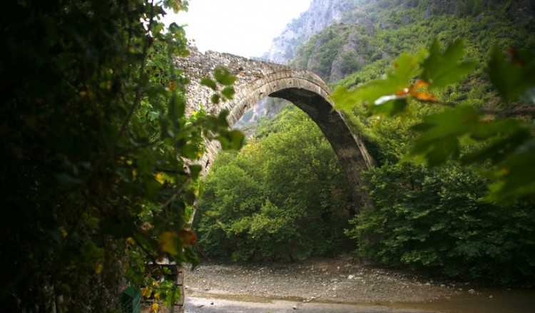 Θρασύτατοι Αλβανοί μπήκαν παράνομα στην Ελλάδα και μάζεψαν φαρμακευτικό κισσό