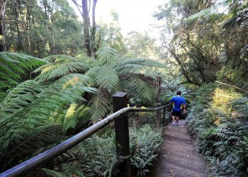 Ανεβαίνουν 1.000 σκαλοπάτια στη Μελβούρνη για να τιμήσουν τη Γενοκτονία των Ποντίων