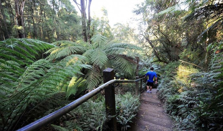 Ανεβαίνουν 1.000 σκαλοπάτια στη Μελβούρνη για να τιμήσουν τη Γενοκτονία των Ποντίων