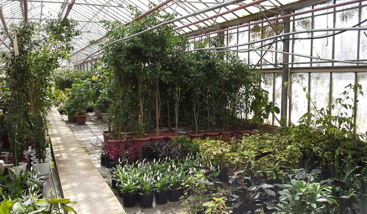 Ένας πολύχρωμος κήπος γεμάτος αρώματα, το Εμπορικό Φυτώριο του Γεωπονικού Πανεπιστημίου (φωτο)