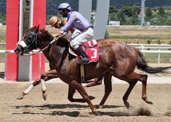 Markopoulo Park: Μοναδικό θέαμα με εντυπωσιακά photo finish