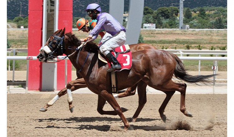Markopoulo Park: Μοναδικό θέαμα με εντυπωσιακά photo finish