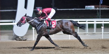 Markopoulo Park: Ξεχωριστή Κυριακή με δυνατές συγκινήσεις και μεγάλα κέρδη