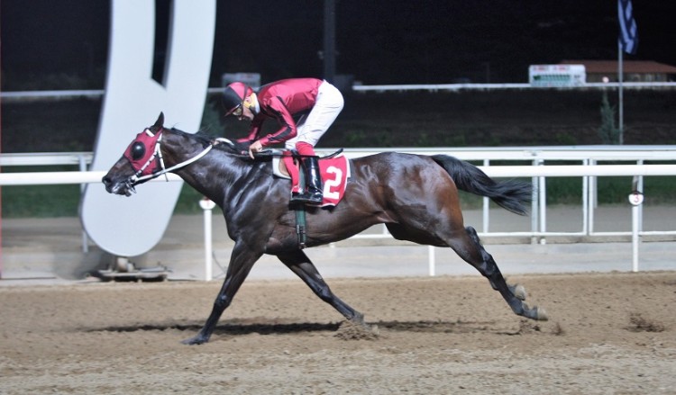 Markopoulo Park: Ξεχωριστή Κυριακή με δυνατές συγκινήσεις και μεγάλα κέρδη