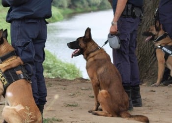 Θεσσαλονίκη: Χαρτοφύλακας προκάλεσε κινητοποίηση της ΕΛΑΣ