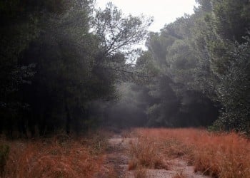 Νεφώσεις στα δυτικά και σποραδικές βροχές στο Ιόνιο σήμερα 6