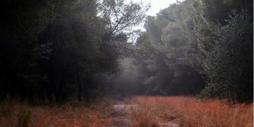 Νεφώσεις στα δυτικά και σποραδικές βροχές στο Ιόνιο σήμερα 6