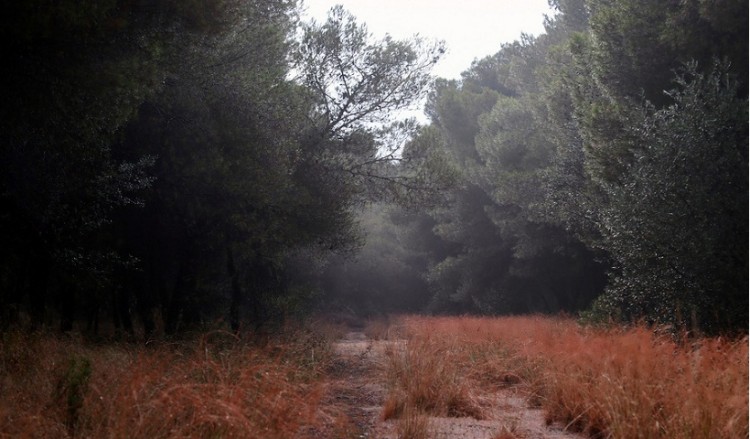 Νεφώσεις στα δυτικά και σποραδικές βροχές στο Ιόνιο σήμερα 6