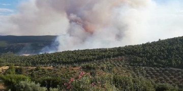 Ηλεία: Φωτιά στην περιοχή του Σέκουλα Ανδρίτσαινας 5