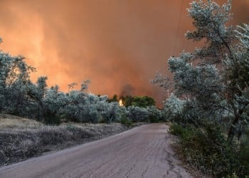 Φωτιά Εύβοια: Ενισχύονται οι δυνάμεις της Πυροσβεστικής