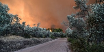 Φωτιά Εύβοια: Ενισχύονται οι δυνάμεις της Πυροσβεστικής