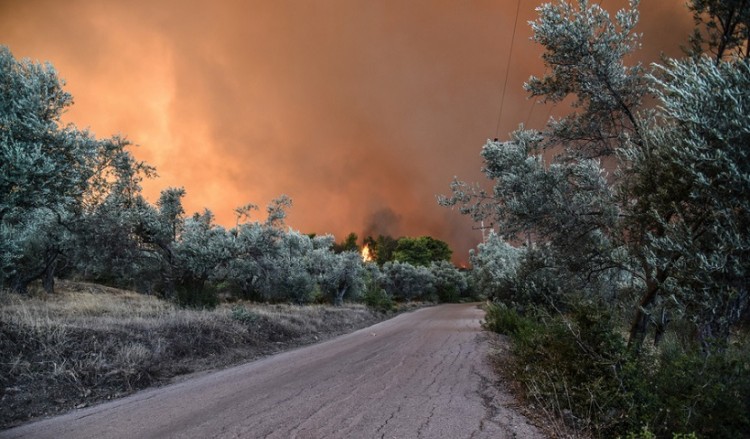Φωτιά Εύβοια: Ενισχύονται οι δυνάμεις της Πυροσβεστικής