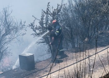 Φωτιά στα Χάνια Ευβοίας 3