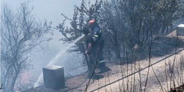 Φωτιά στα Χάνια Ευβοίας 3