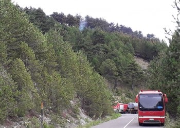 Φωτιά στη Σιθωνία Χαλκιδικής  4