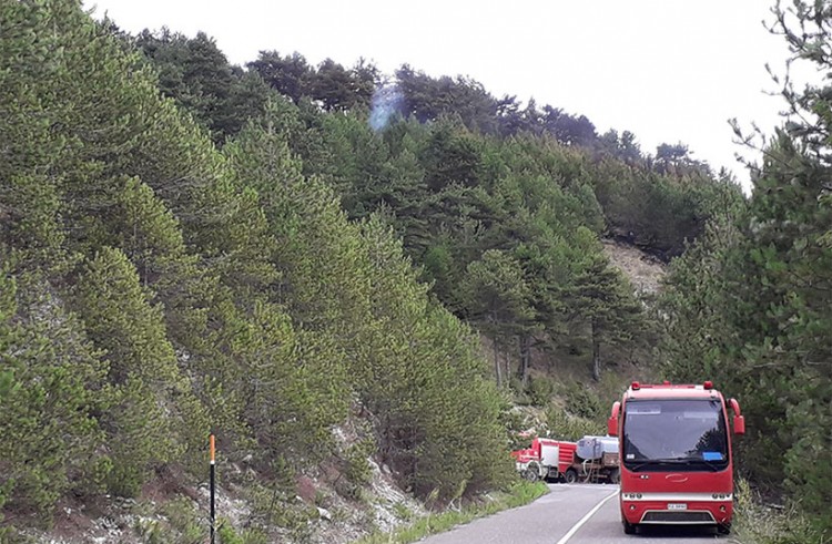 Φωτιά στη Σιθωνία Χαλκιδικής 4