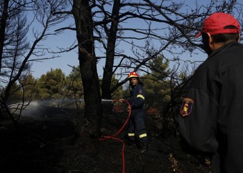 Υπό έλεγχο η φωτιά στο Μαρτίνο