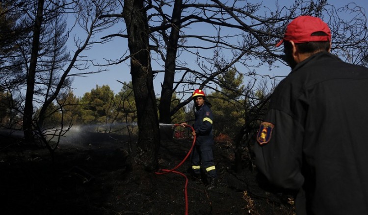 Υπό έλεγχο η φωτιά στο Μαρτίνο