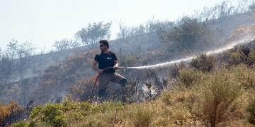 Φωτιά στη Σιθωνία Χαλκιδικής  7