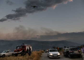 Φωτιά σε δασική έκταση στη Χίο 7