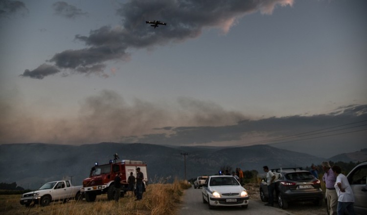 Φωτιά σε δασική έκταση στη Χίο 7