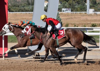 Markopoulo Park: Επτά κούρσες με 48 ίππους που υπόσχονται δυνατές συγκινήσεις