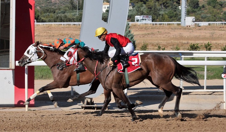 Markopoulo Park: Επτά κούρσες με 48 ίππους που υπόσχονται δυνατές συγκινήσεις