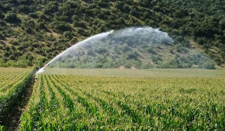 Drone στον θεσσαλικό κάμπο για τη σωστή χρήση του νερού στις καλλιέργειες