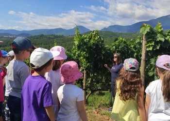 Δημιουργικό καλοκαίρι για τα παιδιά της Ευξείνου Λέσχης Νάουσας