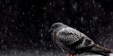 Μεταβολή του καιρού από την Κυριακή – Πού και πότε θα βρέξει