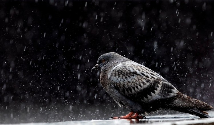 Μεταβολή του καιρού από την Κυριακή – Πού και πότε θα βρέξει