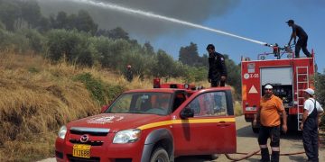Χαλκιδική: Υπό έλεγχο η φωτιά στην Αγ. Παρασκευή