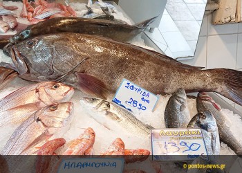 Τρεις μερίδες ψάρι την εβδομάδα μειώνουν τον κίνδυνο καρκίνου του εντέρου