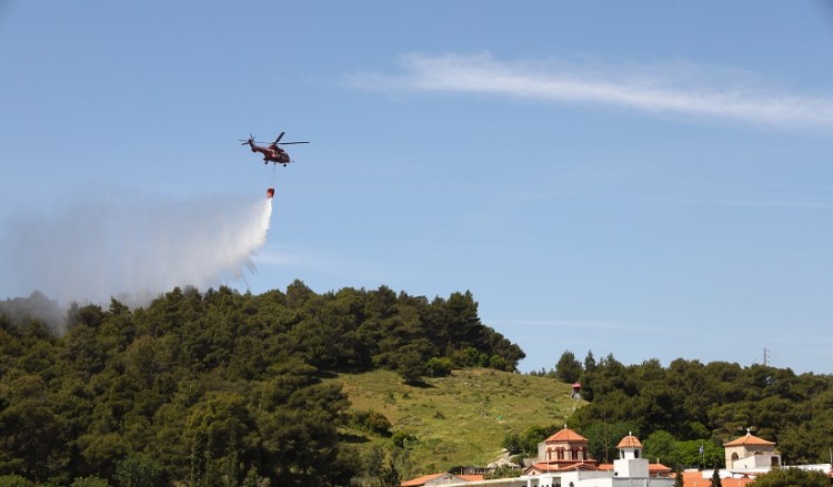 Φωτιά στο Δαφνί Λακωνίας 4