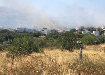 Ηλεία: Φωτιά στην περιοχή του Σέκουλα Ανδρίτσαινας 6