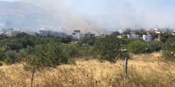 Ηλεία: Φωτιά στην περιοχή του Σέκουλα Ανδρίτσαινας 6