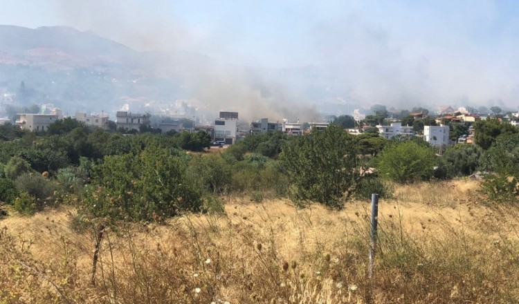 Ηλεία: Φωτιά στην περιοχή του Σέκουλα Ανδρίτσαινας 6