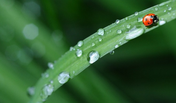 Ο καιρός σήμερα: Έρχονται βροχές και καταιγίδες