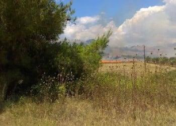 Φωτιά στη Νικήτη της Χαλκιδικής
