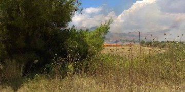 Φωτιά στη Νικήτη της Χαλκιδικής