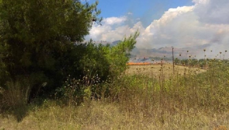 Φωτιά στη Νικήτη της Χαλκιδικής