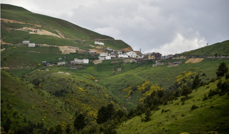 Πανδαισία χρωμάτων στη Ζύγανα (βίντεο)