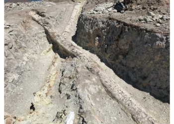 Στη Λέσβο βρέθηκαν οι μεγαλύτεροι απολιθωμένοι κορμοί κωνοφόρων δέντρων