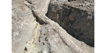 Στη Λέσβο βρέθηκαν οι μεγαλύτεροι απολιθωμένοι κορμοί κωνοφόρων δέντρων