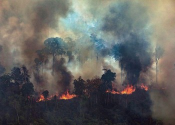 Οι G7 δίνουν 20 εκατ. δολάρια για τις φωτιές στον Αμαζόνιο