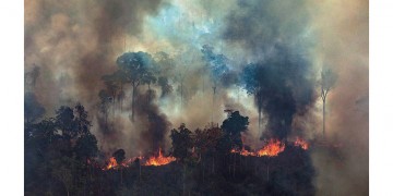 Οι G7 δίνουν 20 εκατ. δολάρια για τις φωτιές στον Αμαζόνιο